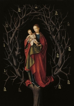 Our Lady of the Dry Tree